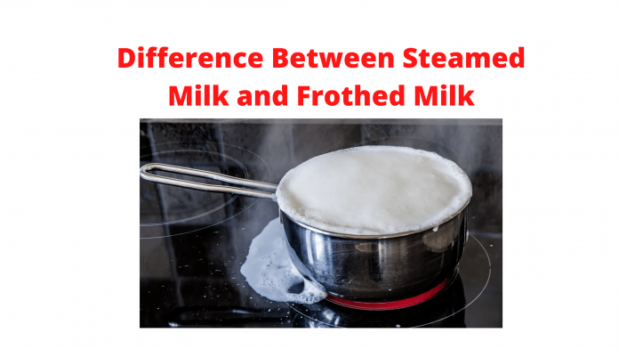 What is the Difference Between Steamed Milk and Frothed Milk